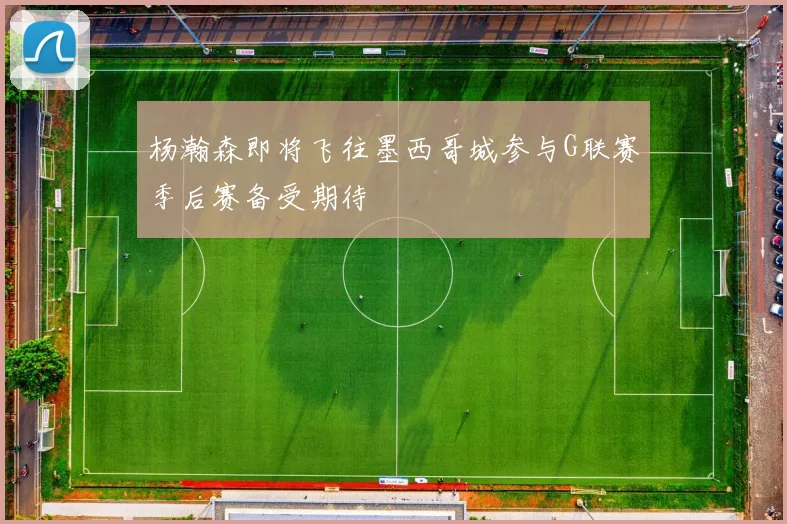 杨瀚森即将飞往墨西哥城参与G联赛季后赛备受期待